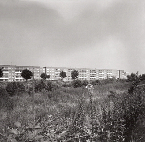 Senftenberg